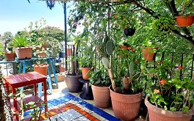 La Terraza Del Pochote